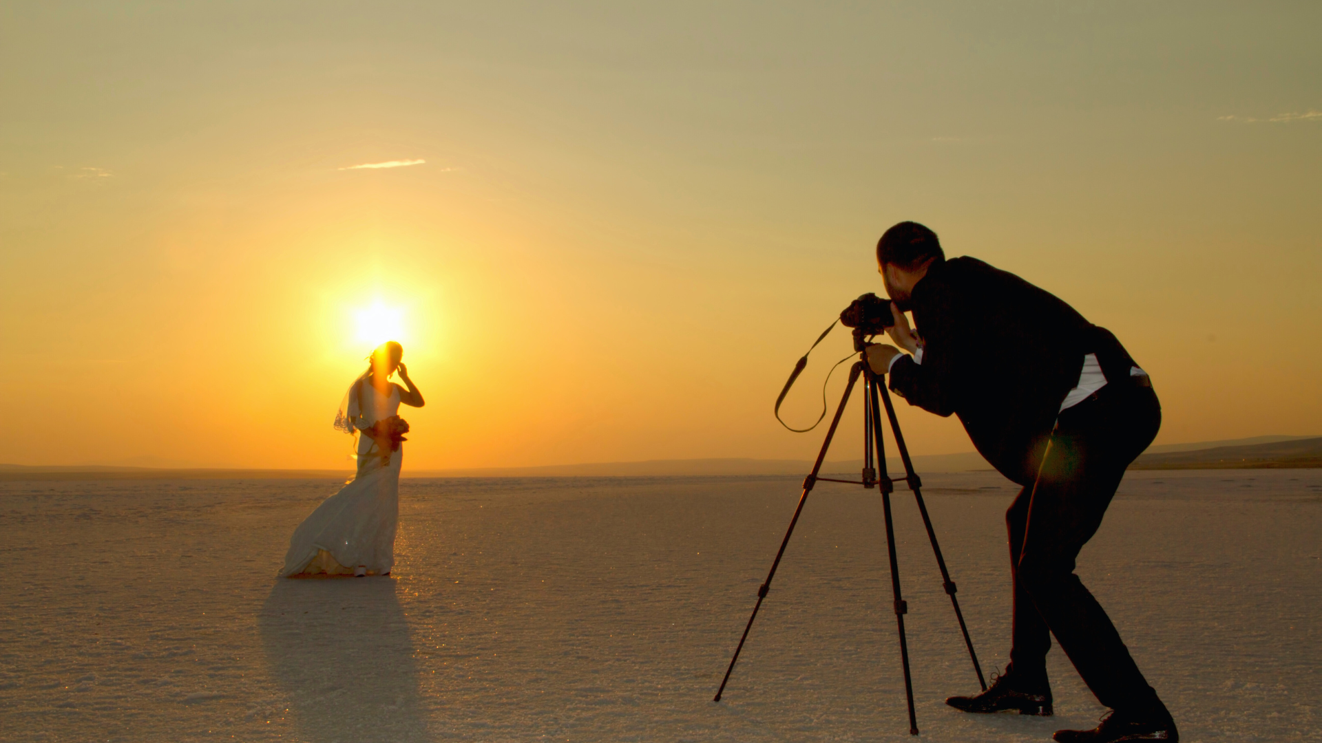 How Light Transforms Everyday Images: Enhancing Visual Impact and Clarity